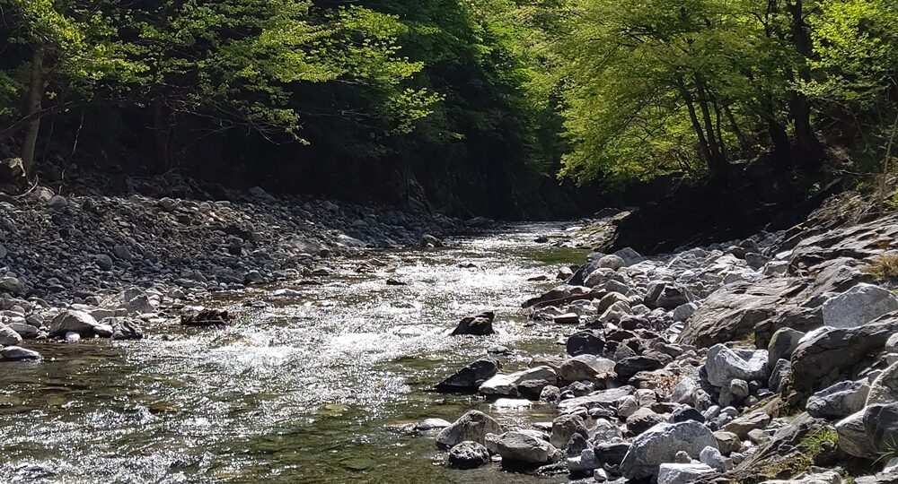 プロフィール背景画像