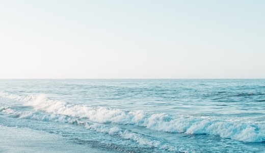 時間で選ぶ魅惑の日本酒「HINEMOS」味わい・口コミ・ギフト人気の理由を解説