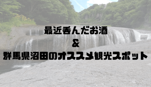 夏に群馬県沼田の酒蔵で買った日本酒を呑んだら思い出が溢れたからオススメ観光スポットと共に紹介するよ